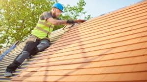 Best Rubber Roofing (EPDM, TPO)  in Mulberry, FL