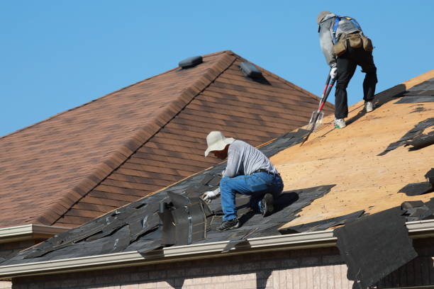 Best Roof Installation  in Mulberry, FL